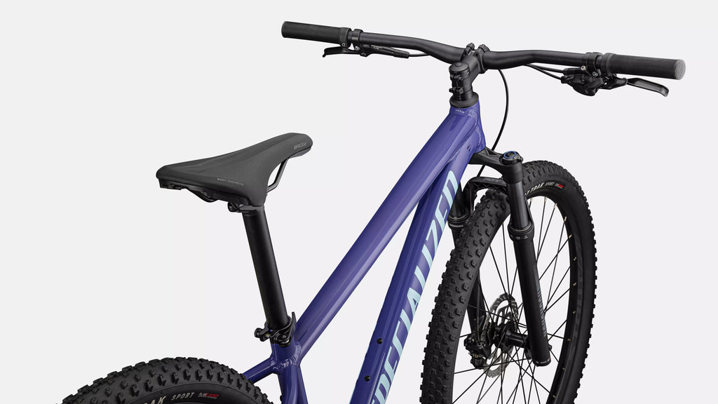 BICICLETA ROCKHOPPER COMP  L 29  GLOSS PURPLE HAZE / ASTRAL BLUE