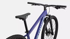 BICICLETA ROCKHOPPER COMP  L 29  GLOSS PURPLE HAZE / ASTRAL BLUE