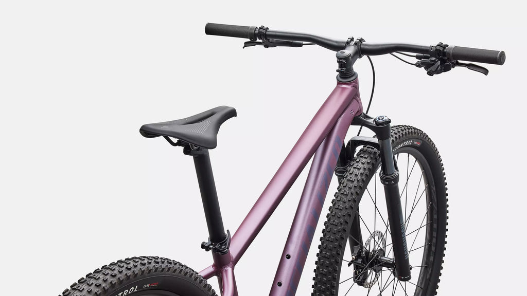 Bicicleta Specialized Rockhopper Expert 29