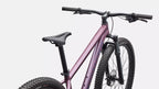 Bicicleta Specialized Rockhopper Expert 29