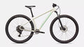 Specialized Rockhopper Sport M 29 Color: Gloss Dune White / Oasis