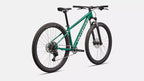 Specialized Rockhopper Sport 2026 L 29   Color: Gloss Pine Green / Desert Rose