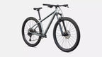 Specialized Rockhopper Comp M 29 Color: Satin Shadow Silver