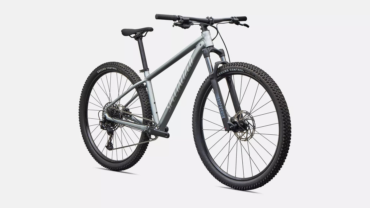 Specialized Rockhopper Comp M 29 Color: Satin Shadow Silver