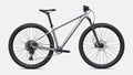 Specialized Rockhopper Comp M 29 Color: Satin Shadow Silver