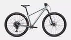 Specialized Rockhopper Comp M 29 Color: Satin Shadow Silver