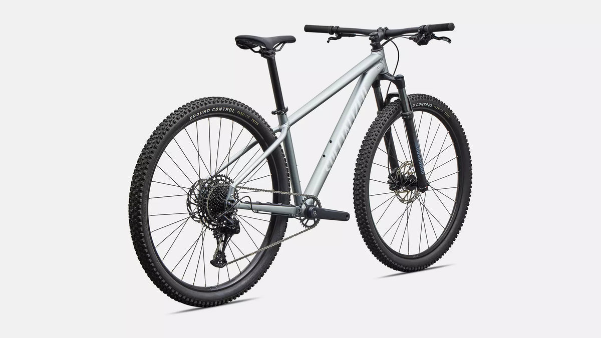 Specialized Rockhopper Comp M 29 Color: Satin Shadow Silver