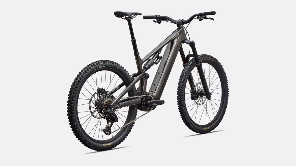 Bicicleta Specialized Levo 4 EVO Comp S3