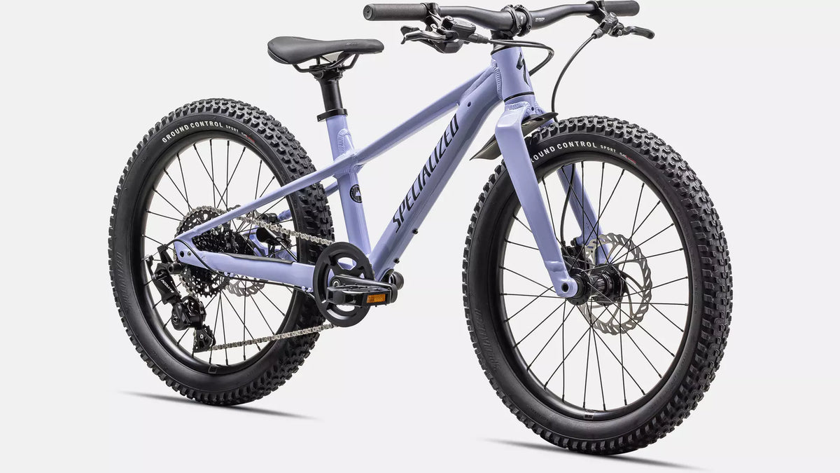 Bicicleta Riprock 20 Purpura