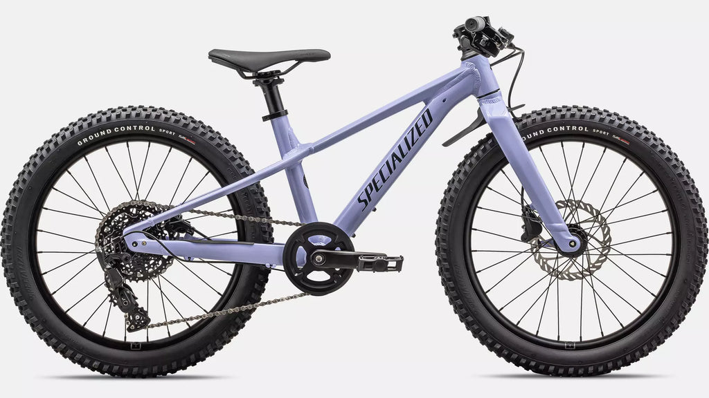 Bicicleta Riprock 20 Purpura