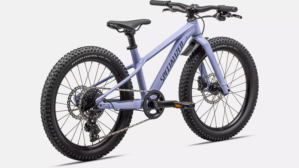 Bicicleta Riprock 20 Purpura