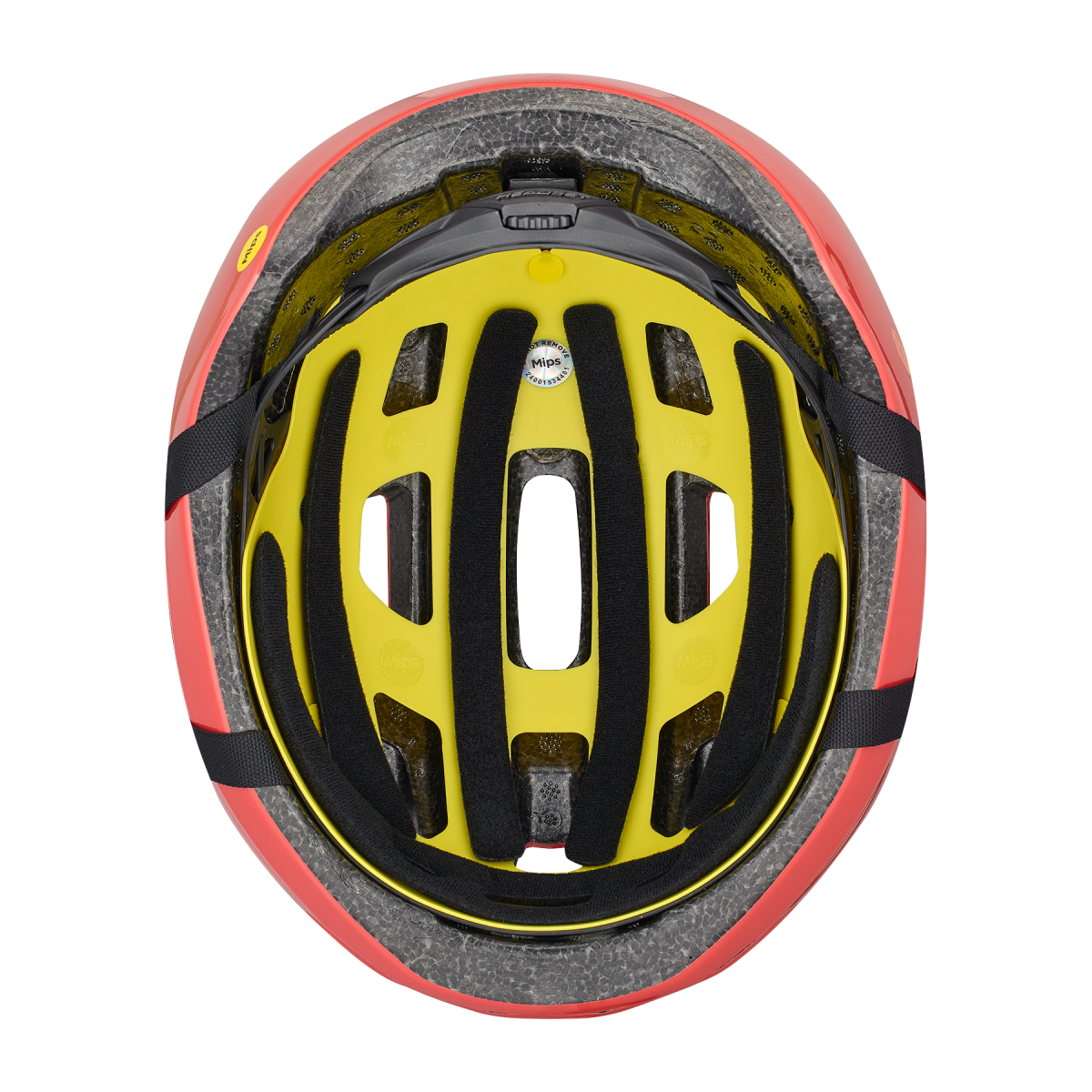 Casco Specialized Align II MIPS